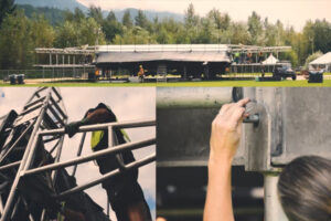 Optimize Your Investment With Proper Training
